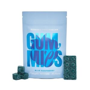 Euphoria Psychedelics – Lego Brick Blue Raspberry Gummies