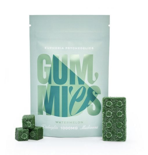 Euphoria Psychedelics – Lego Brick Watermelon Gummies