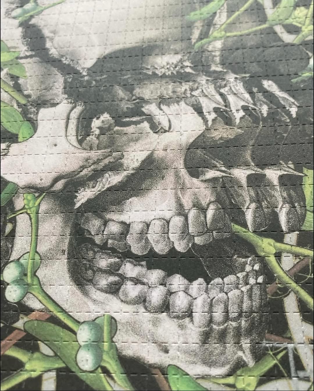 Lsd (Acid Blotter) 300ug - Image 9