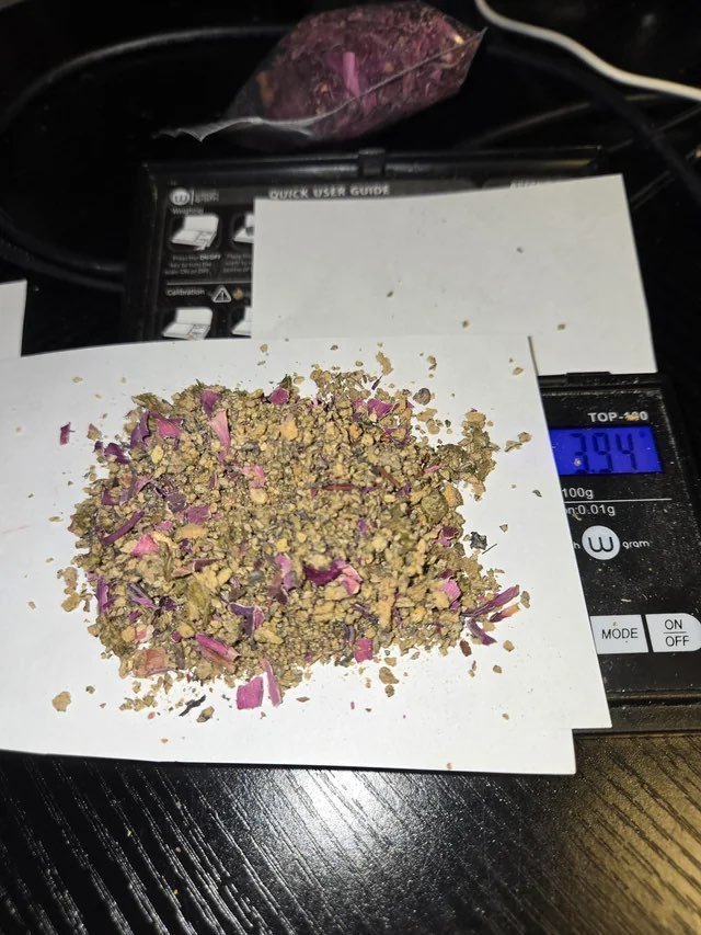 salvia divinorum - Image 3