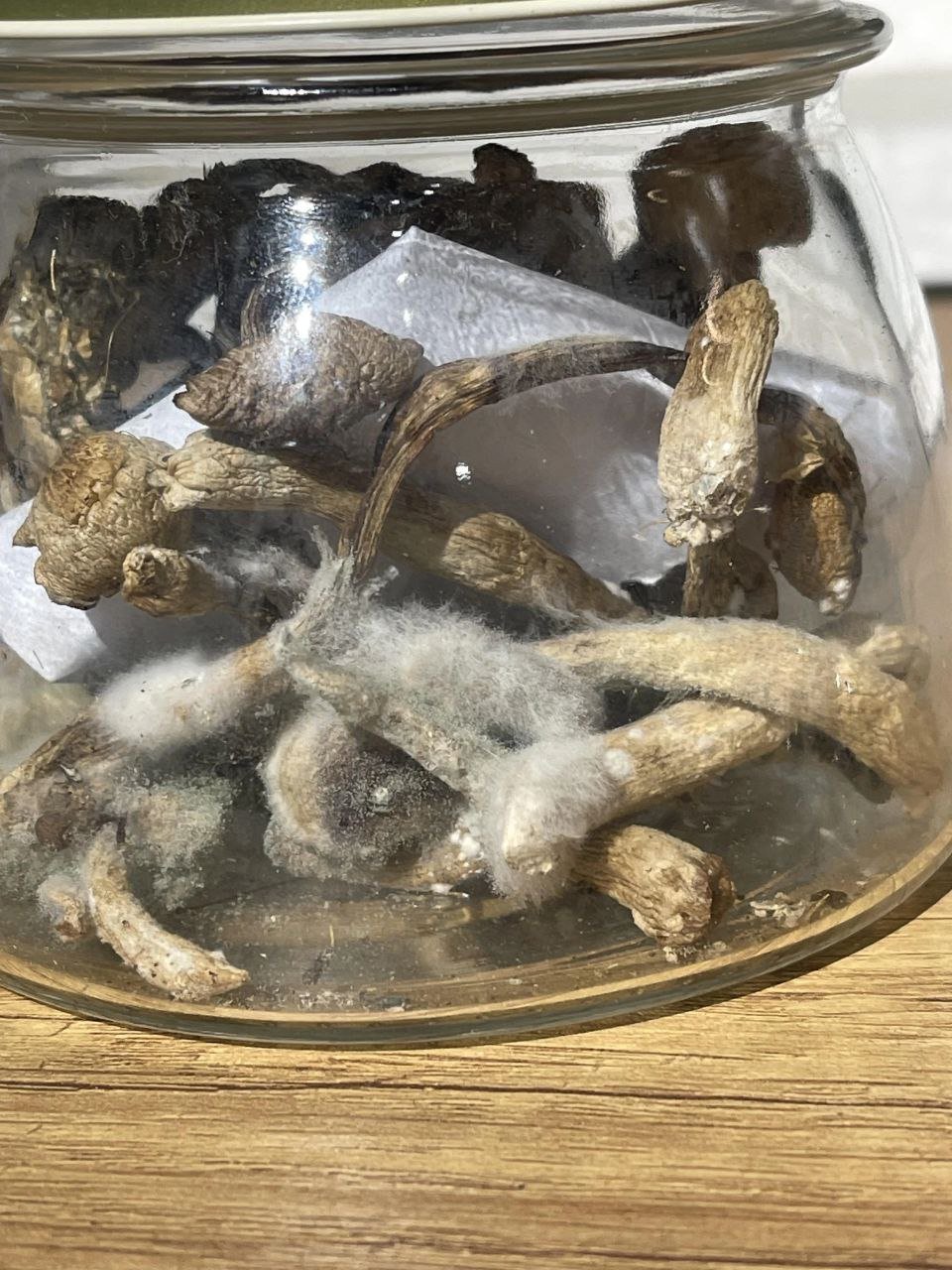 Blue Meanies Mushroom - Image 2